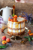 Aprikosen-Lavendel-Torte