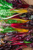 Fresh colorful chard with roots