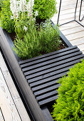 Black raised bed with herbs and flowers on the terrace