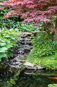 Garden with small waterfall and pond surrounded by lush greenery