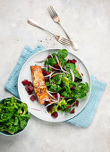 Gebratener Lachs mit Feldsalat und Rote Bete