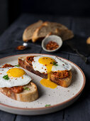 Toasted sourdough bread with romesco sauce and fried egg