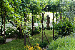 Mit Wein bewachsene Pergola, Statue und Schneeballhortensie im Garten