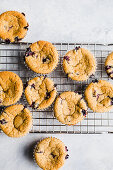 Almond flour blueberry muffins