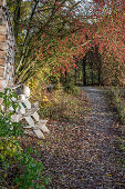 Herbstlicher Bauerngarten mit Zierapfelstrauch und rustikaler Dekoration auf Holztreppe