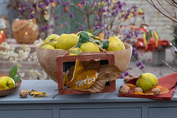 Autumn decoration of quinces, nuts and autumn leaves on chest of drawers