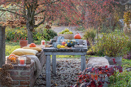 Herbstlich dekorierter Tisch im Garten mit Kürbis und Obst
