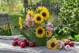 Bouquet in watering can with sunflowers (Helianthus), switchgrass (Panicum virgatum), roses (Rosa) 'Fairy' and apples on garden table