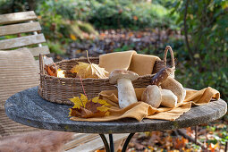 Common boletus (Boletus edulis) in a willow basket