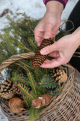 Branches and cones