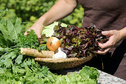 Vegetables with healing power - lettuce, garlic, horseradish, herbs