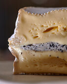 Brie-Käse mit Trüffel