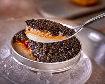 Cauliflower panna cotta with caviar