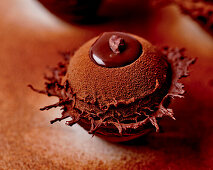 Chocolate mousse tartlet with icing