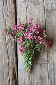 A bunch of dried roses