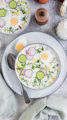 Okroshka (Refreshing summer soup)