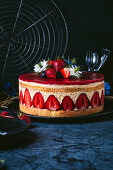 Fraisier - Französische Erdbeetorte