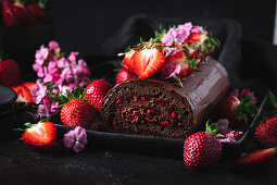 Chocolate Strawberry Sponge Roll