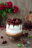 Sponge cake with cherry mousse, cheese cream, and chocolate