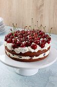 Chocolate cake with cherries and cream