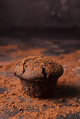 Chocolate muffin dusted with cocoa powder