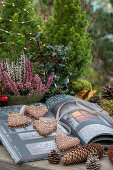 Winterdeko auf der Terrasse mit Erika (Calluna), Scheinbeere, Tannenzapfen, Stechpalme, Fichtenbäumchen (Picea glauca) mit Lichterkette und Lebkuchen