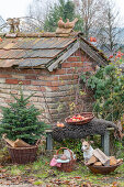 Feuerschale im Garten mit kleinem Tannenbäumchen, Picknickkorb, Äpfel auf Gartenbank und Hund vor altem Backhaus