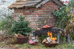 Feuerstelle im Garten mit kleinem Tannenbäumchen, Picknickkorb, Äpfel auf Gartenbank, vor altem Backhaus
