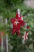 Holzsterne auf Tannenzweig an Gartenzaun, Weihnachtsdeko