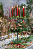 Etagere mit Kerzen, Adventskranz aus Kanadischer Hemlocktanne (Tsuga canadensis) und Sternenanhängern