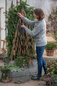 Winterize the rose in the pot and use it as a privacy screen.