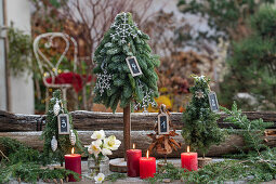 Minichristbäumchen gesteckt aus Zweigen der  Kanadischen Hemlocktanne (Tsuga canadensis) und Stech-Fichte (Picea pungens, Christrose (Helleborus Niger) in Vase, und Kerzen, Weihnachtsdeko auf der Terrasse