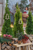 Weihnachtliche Terrasse, Zypressen im Topf mit Christbaumanhänger, Stechpalme (Ilex), Äpfel im Korb und Holzstoß