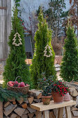 Weihnachtliche Terrasse, Zypressen im Topf mit Christbaumanhänger, Stechpalme (Ilex), Äpfel im Korb und Holzstoß