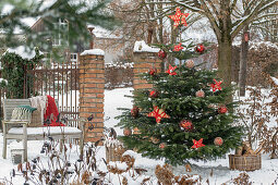 Geschmückter Christbaum im verschneiten Garten mit Gartenbank