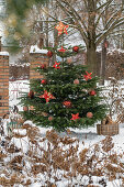 Geschmückter Christbaum im verschneiten Garten