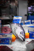 Fish at a market in Brittany