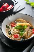 Gyoza-Gemüsesuppe mit Nudeln