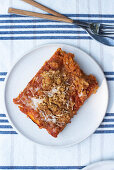 Sfincione Siciliano (Pizza nach sizilianischer Art) belegt mit Tomatensauce, Zwiebeln, Käse und Semmelbröseln