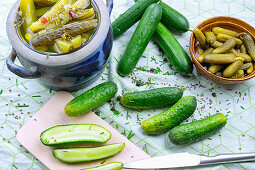 Different types of cucumbers, fresh and pickled