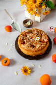 Vegan apricot cake