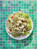 Gemischter Salat mit Sprossen und Tofu