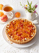 Rose tart with apricots, peaches and almonds