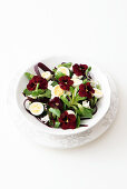 Lamb's lettuce with purple carrots, edible flowers and quail eggs