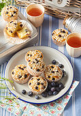 Blueberry oatmeal muffins