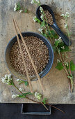 Buckwheat next to it flowering buckwheat twigs