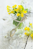 Bouquet of primroses (Primula veris) in a jar with silver spoon