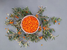 Sea buckthorn berries