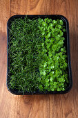 Two kinds of cress