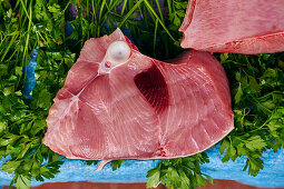 Raw shark steak